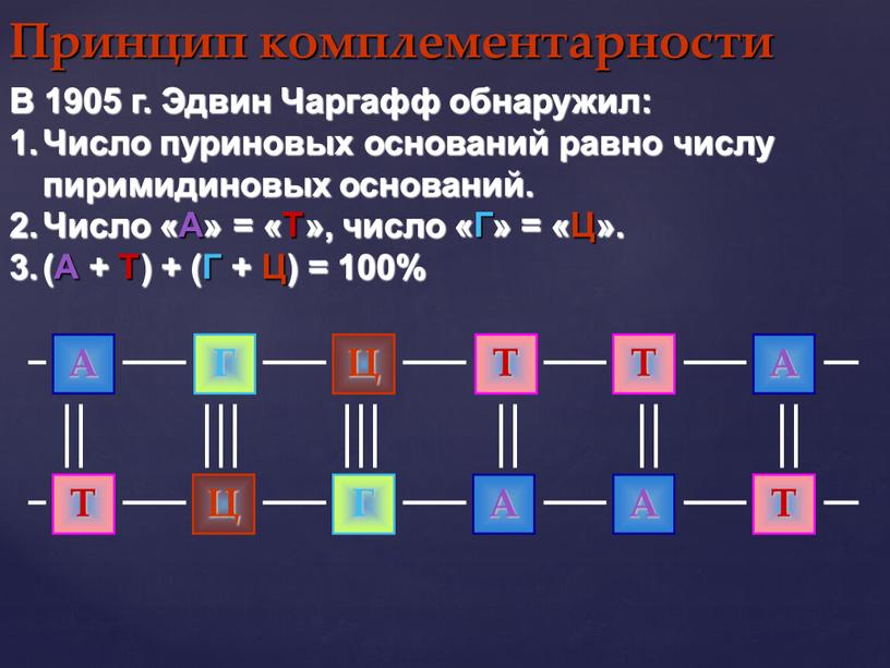 Принцип комплементарности В 1905 г