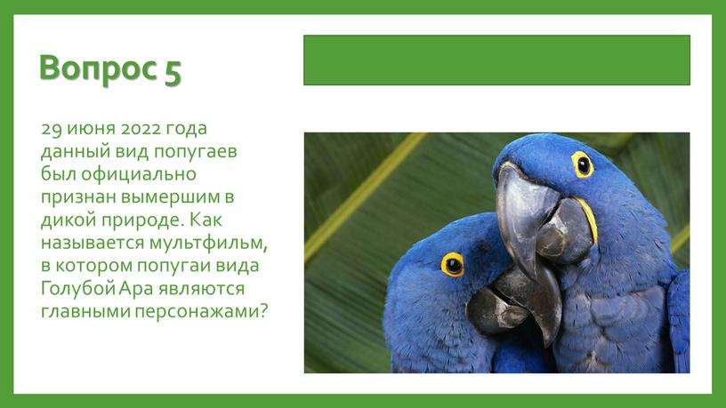 Вопрос 5 29 июня 2022 года данный вид попугаев был официально признан вымершим в дикой природе