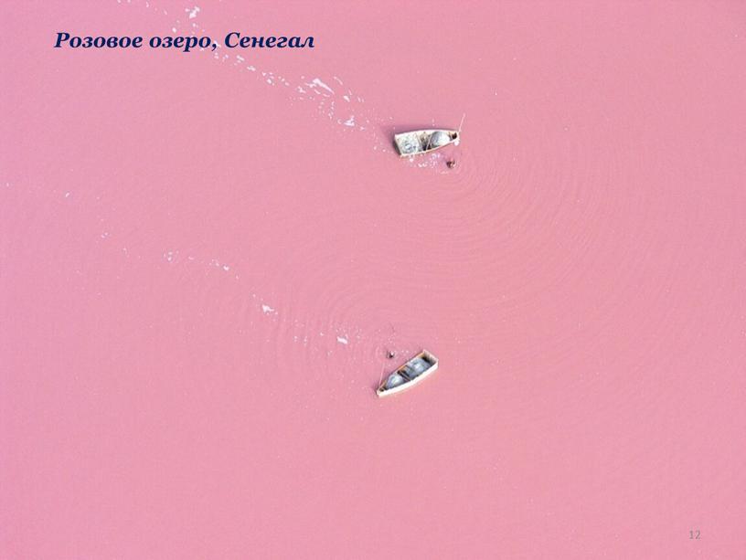 Розовое озеро, Сенегал 12