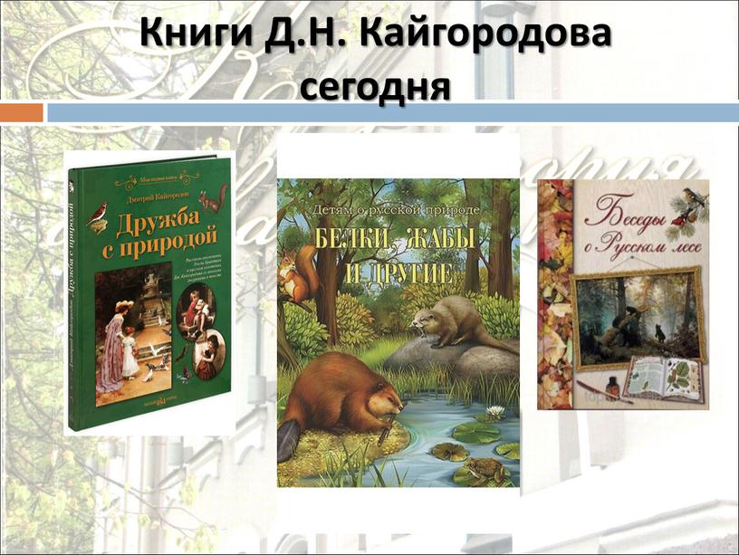 Книги Д.Н. Кайгородова сегодня