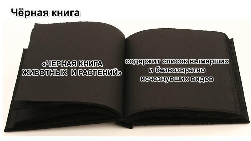 Чёрная книга «ЧЕРНАЯ КНИГА ЖИВОТНЫХ