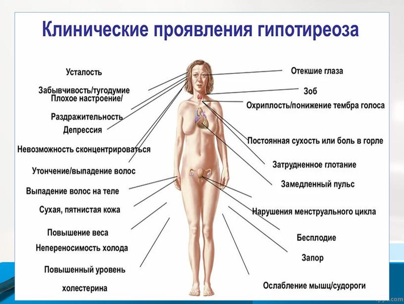 Презентация к теоретическому занятию Заболевания эндокринной системы у детей