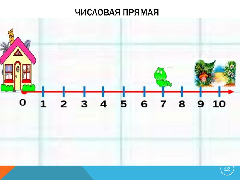 Числовая прямая 12