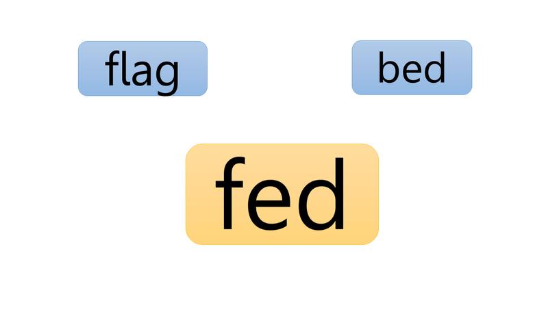 bed flag fed