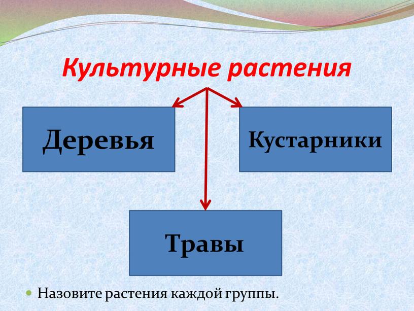 Культурные растения Назовите растения каждой группы