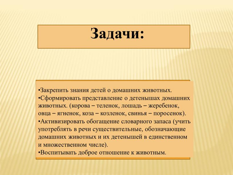 Закрепить знания детей о домашних животных