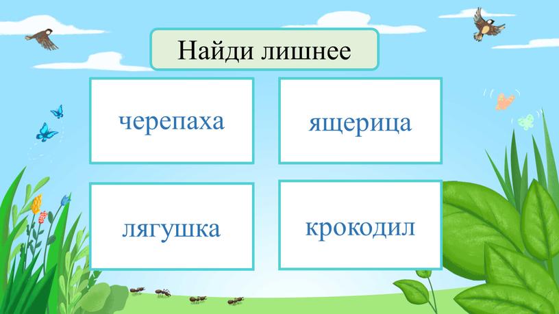 черепаха ящерица крокодил лягушка Найди лишнее