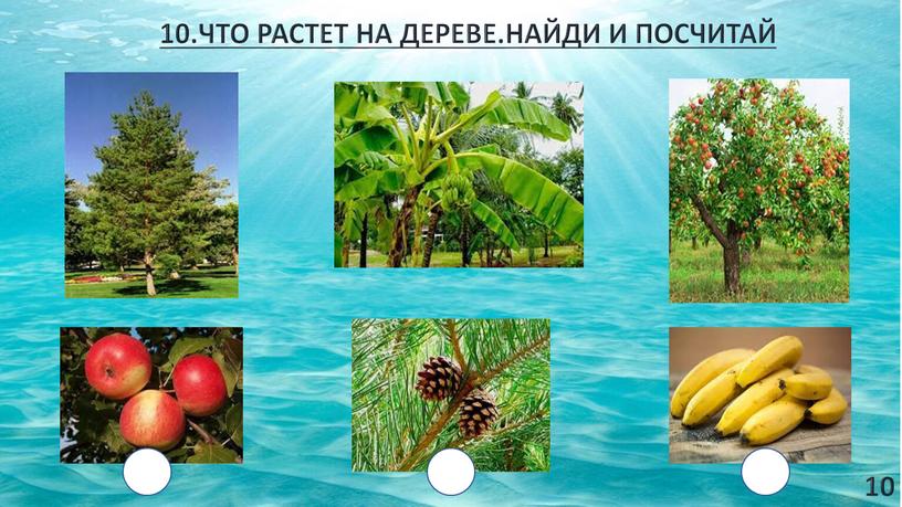 ЧТО РАСТЕТ НА ДЕРЕВЕ.НАЙДИ И ПОСЧИТАЙ 10