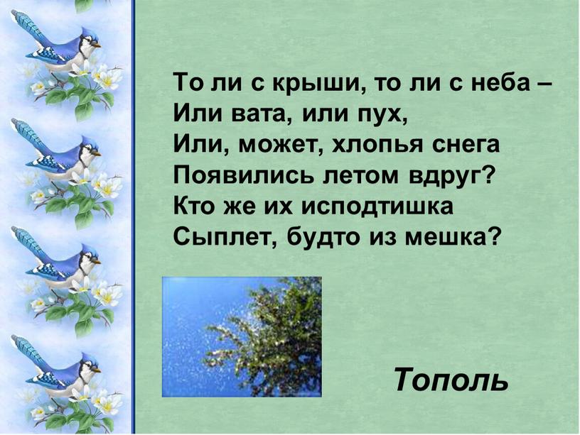 То ли с крыши, то ли с неба –