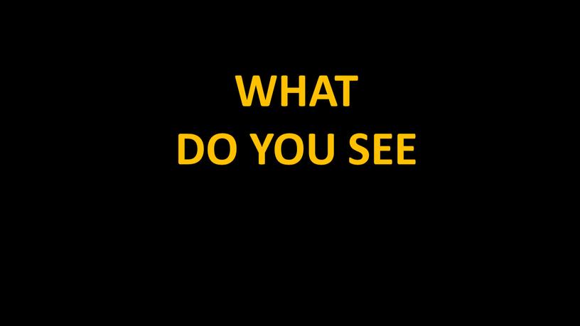 WHAT DO YOU SEE