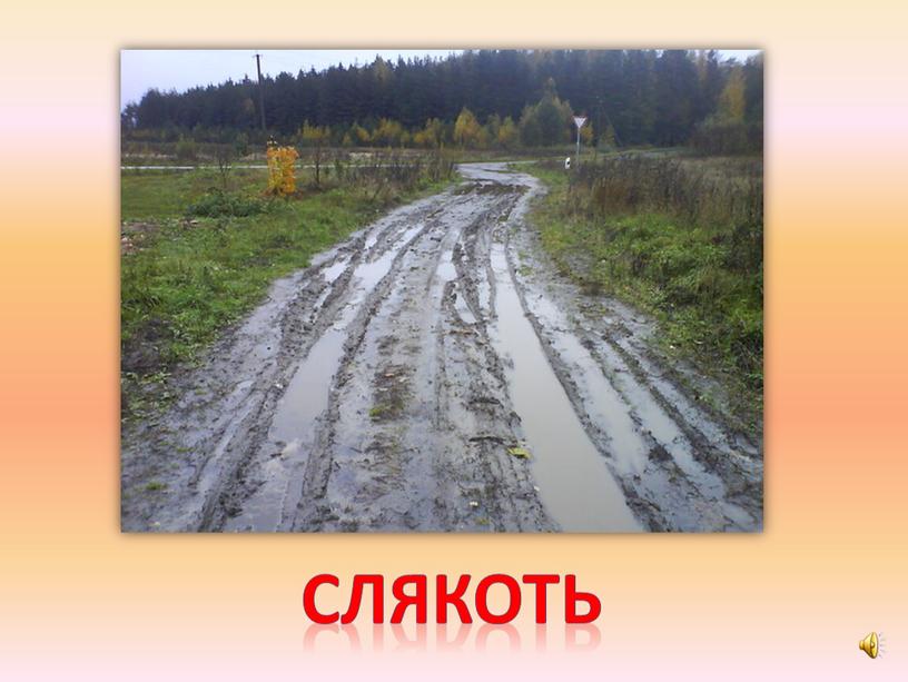 слякоть