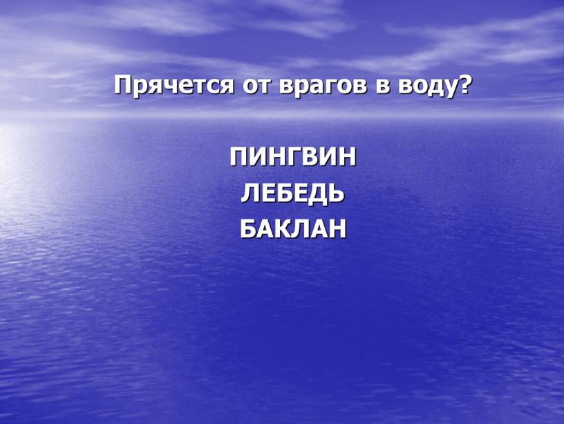 Прячется от врагов в воду? ПИНГВИН