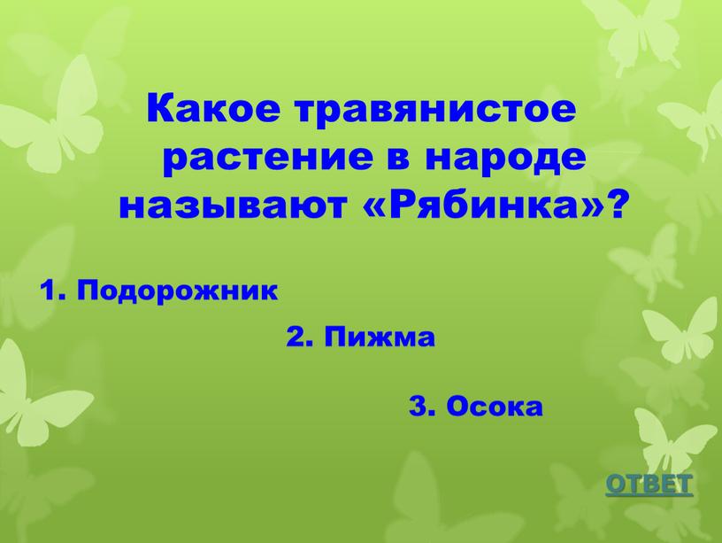 Какое травянистое растение в народе называют «Рябинка»? 1