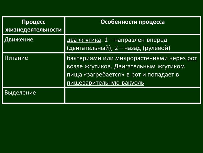 Процесс жизнедеятельности Особенности процесса