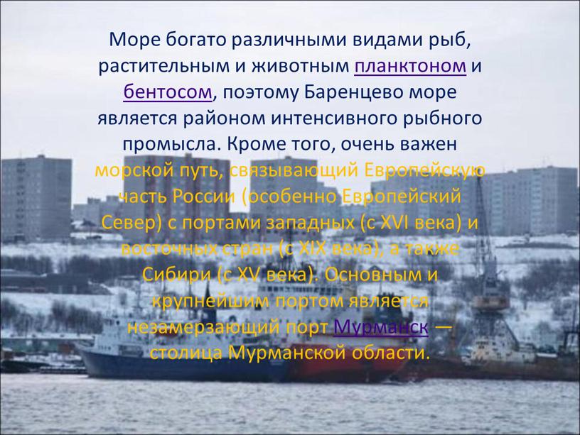 Море богато различными видами рыб, растительным и животным планктоном и бентосом, поэтому