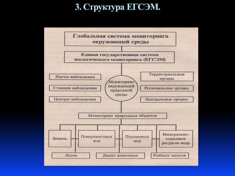 3. Структура ЕГСЭМ.