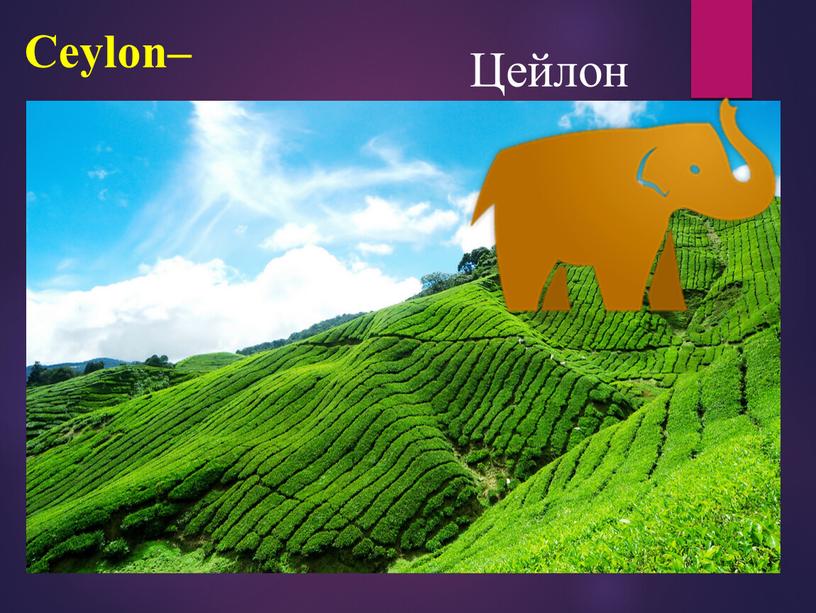 Ceylon– Цейлон