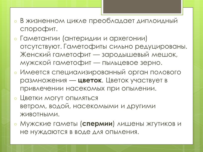 В жизненном цикле преобладает диплоидный спорофит