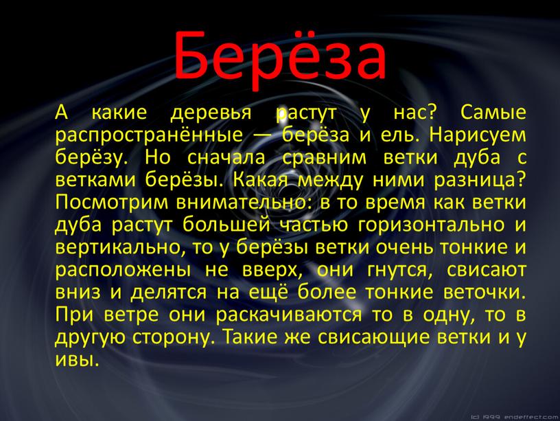 Берёза А какие деревья растут у нас?