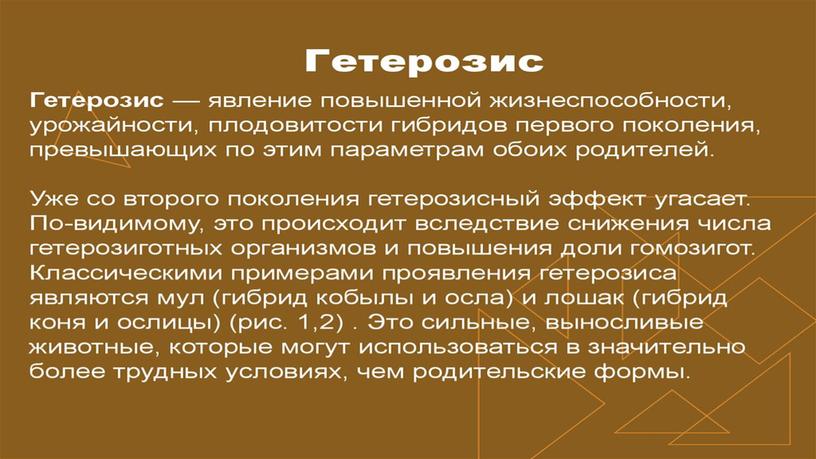 Презентация по биологии "Основные моменты селекции"