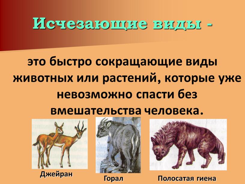 Исчезающие виды - это быстро сокращающие виды животных или растений, которые уже невозможно спасти без вмешательства человека