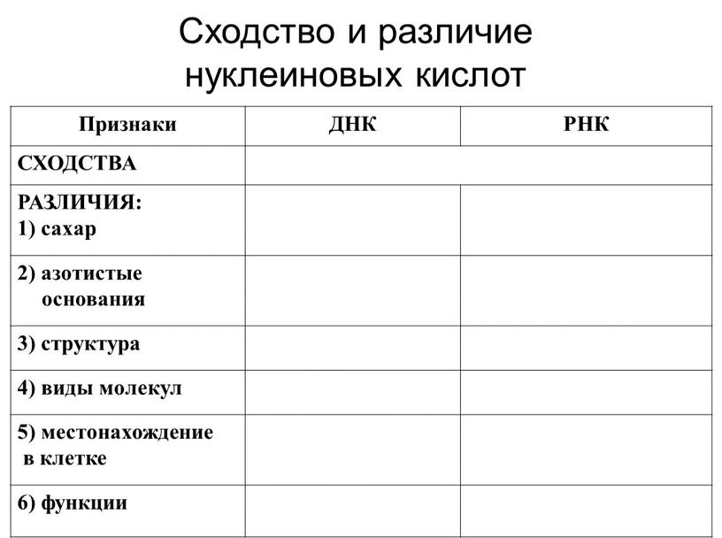 Признаки ДНК РНК СХОДСТВА РАЗЛИЧИЯ: 1) сахар 2) азотистые основания 3) структура 4) виды молекул 5) местонахождение в клетке 6) функции