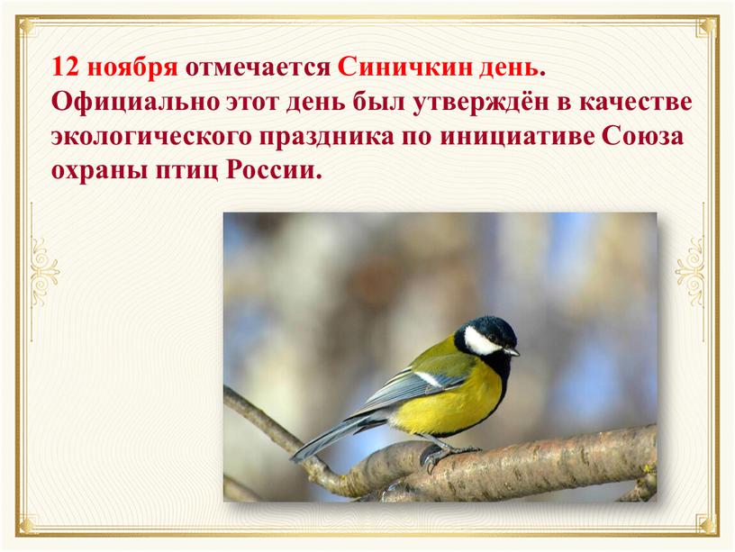 Синичкин день. Официально этот день был утверждён в качестве экологического праздника по инициативе