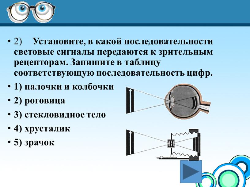 Зрительный анализатор презентация 8 класс биология пасечник