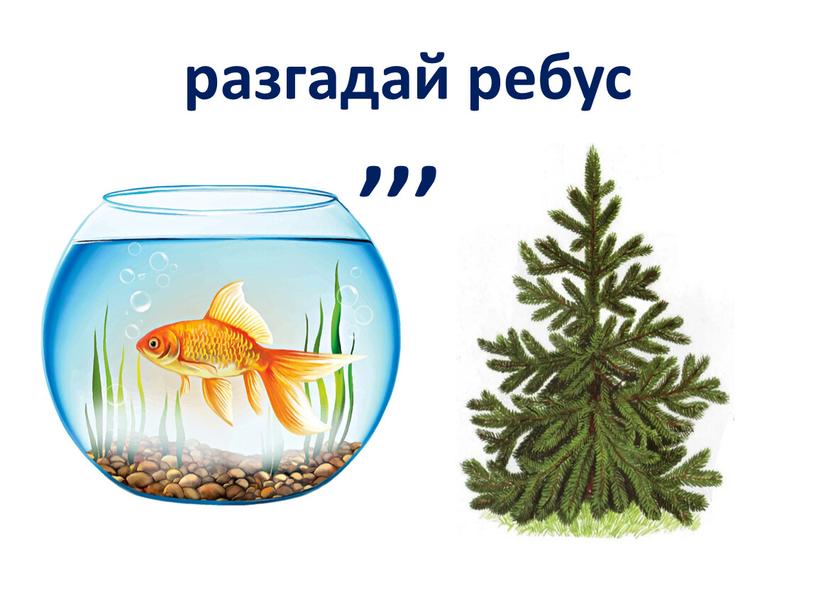 разгадай ребус ,,,