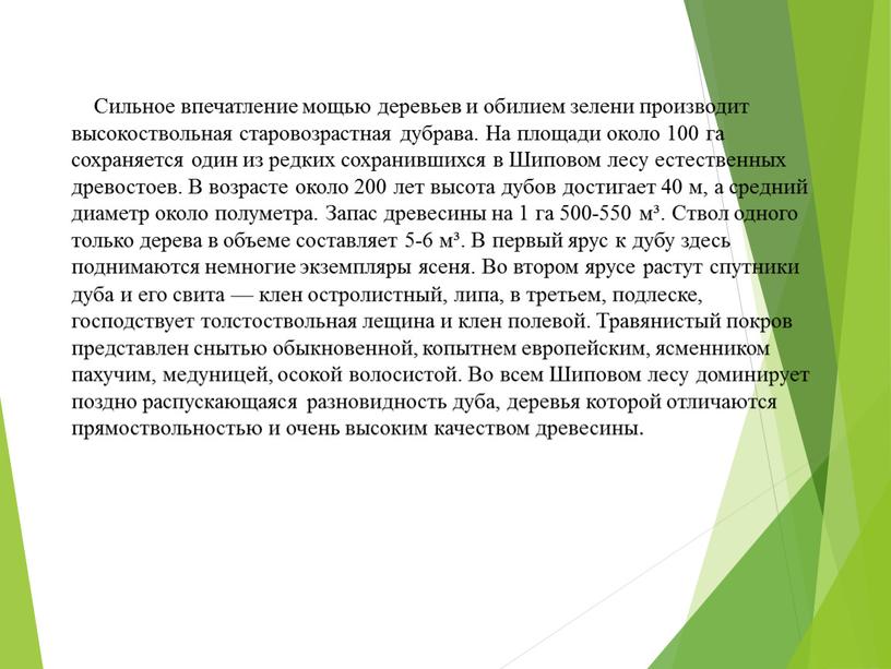 Сильное впечатление мощью деревьев и обилием зелени производит высокоствольная старовозрастная дубрава