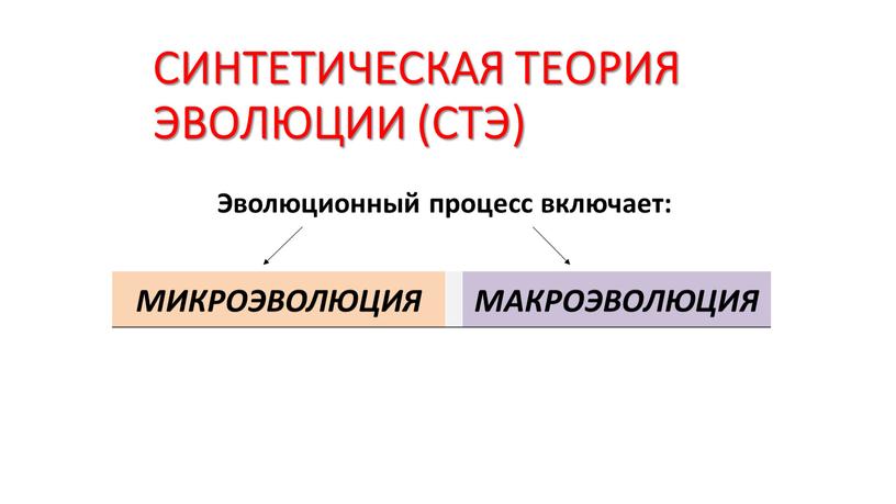 СИНТЕТИЧЕСКАЯ ТЕОРИЯ ЭВОЛЮЦИИ (СТЭ)