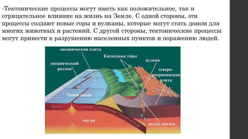 Тектонические процессы могут иметь как положительное, так и отрицательное влияние на жизнь на