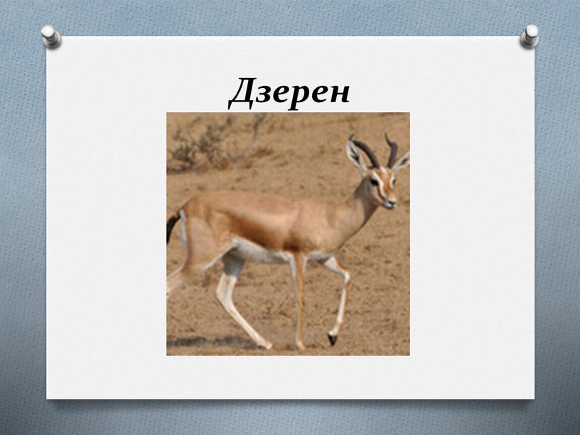 Дзерен