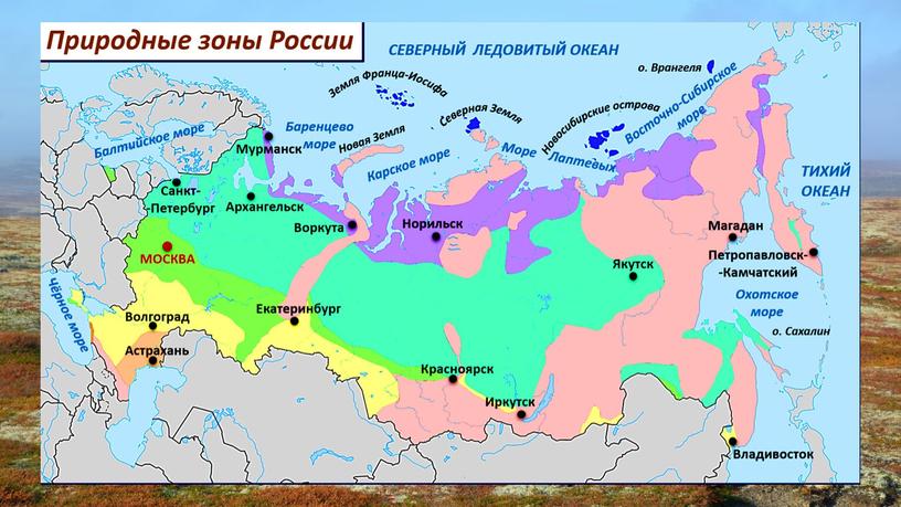 Презентация к уроку по окружающему миру по теме "Тундра"