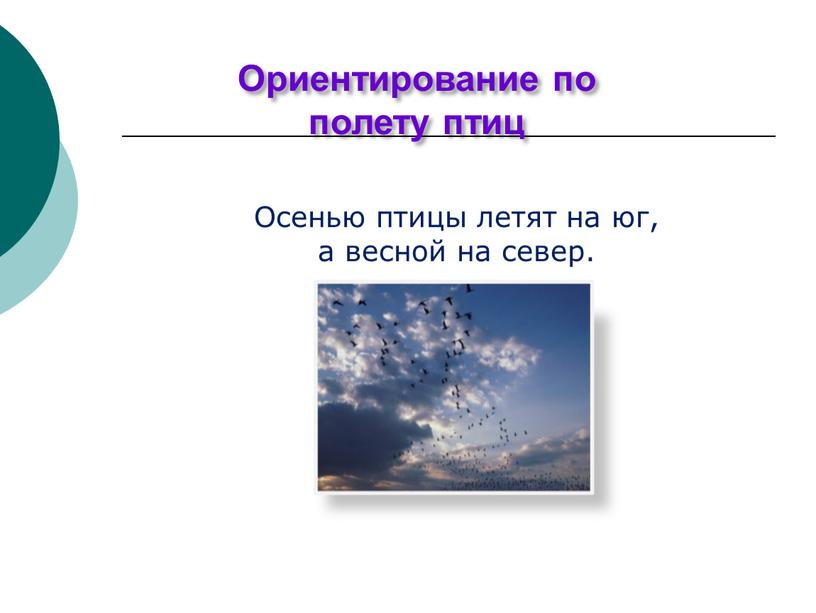 Ориентирование по полету птиц Осенью птицы летят на юг, а весной на север