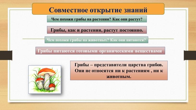 Совместное открытие знаний Чем похожи грибы на растения?