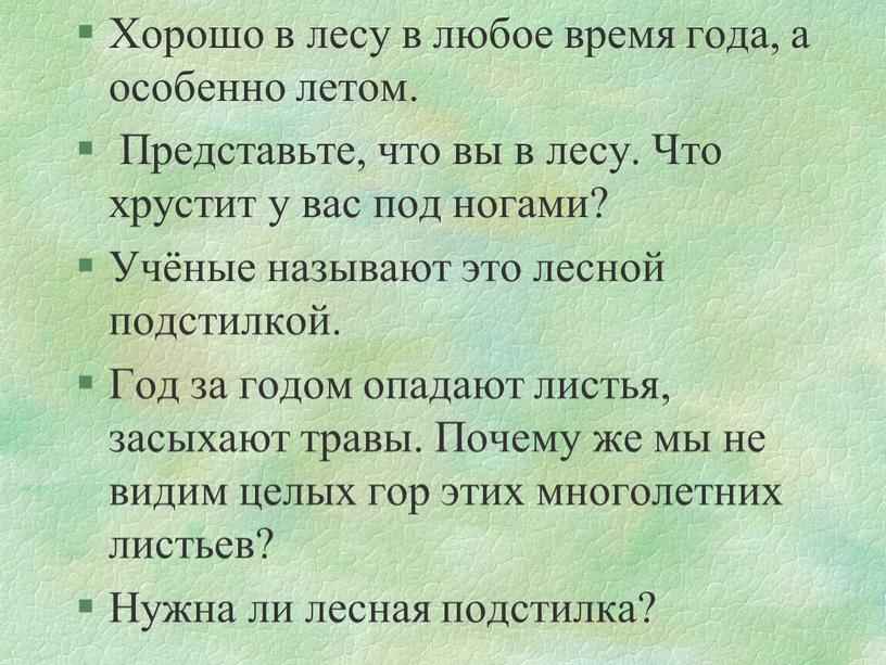 Хорошо в лесу в любое время года, а особенно летом