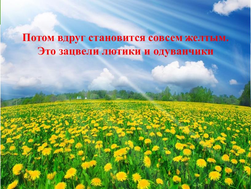 Потом вдруг становится совсем желтым