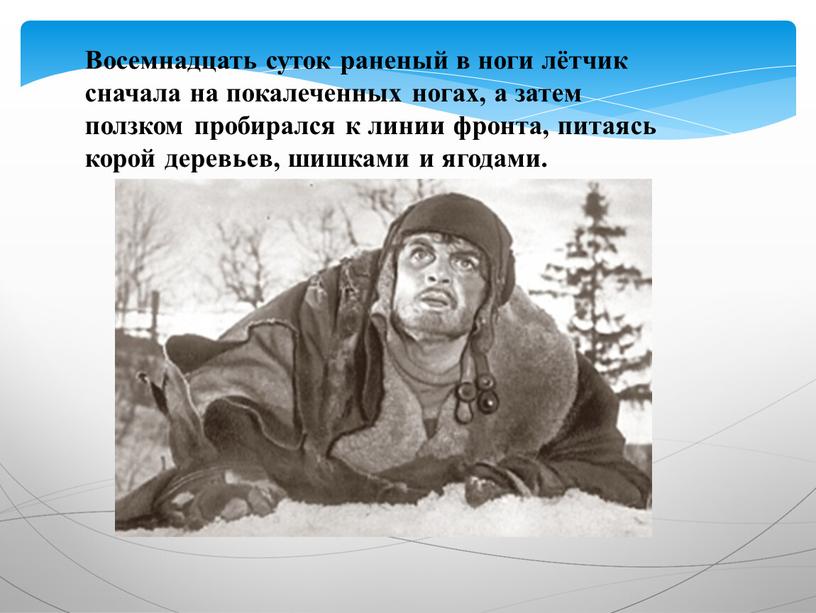 Восемнадцать суток раненый в ноги лётчик сначала на покалеченных ногах, а затем ползком пробирался к линии фронта, питаясь корой деревьев, шишками и ягодами