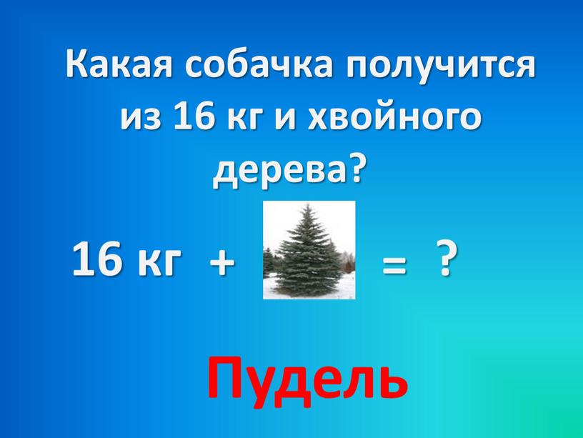 Какая собачка получится из 16 кг и хвойного дерева?