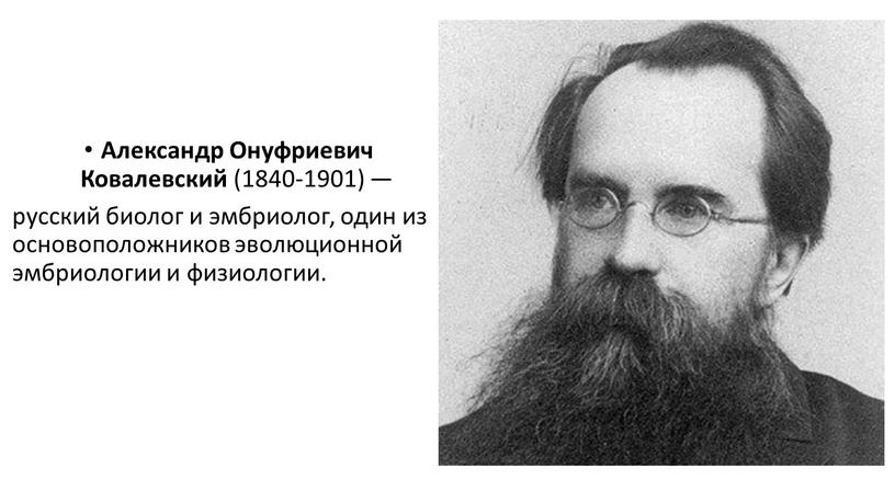 Александр Онуфриевич Ковалевский (1840-1901) — русский биолог и эмбриолог, один из основоположников эволюционной эмбриологии и физиологии