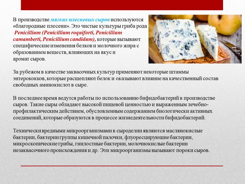 В производстве мягких плесневых сыров используются «благородные плесени»