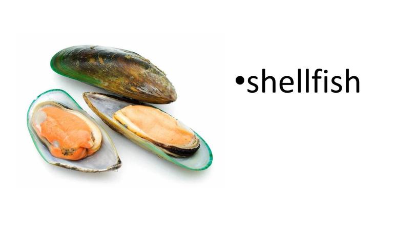 shellfish