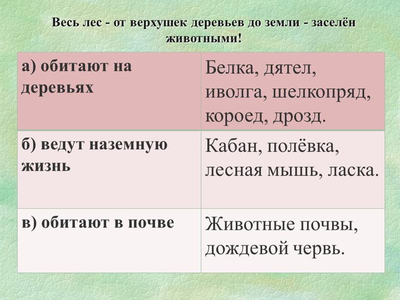 Белка, дятел, иволга, шелкопряд, короед, дрозд