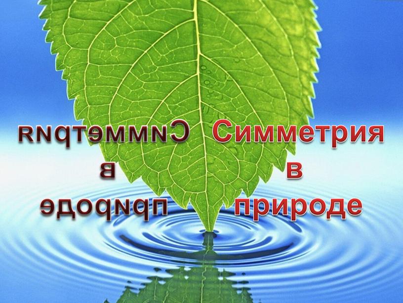 Симметрия – способ создания красоты.