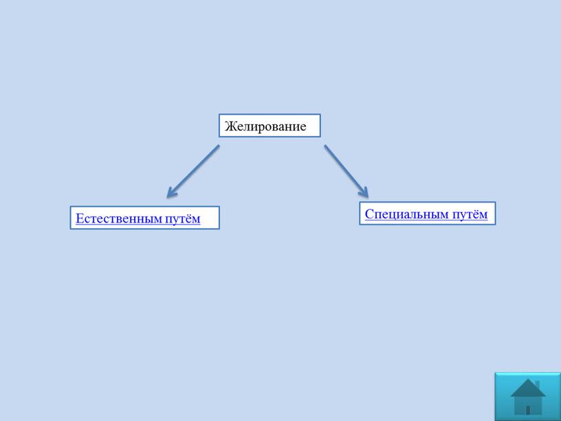 Желирование Естественным путём