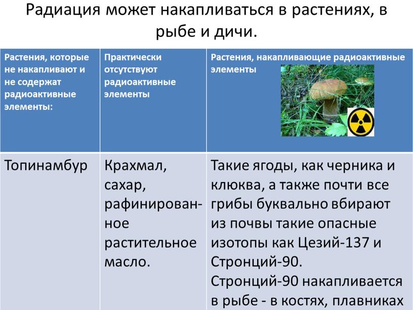 Радиация может накапливаться в растениях, в рыбе и дичи