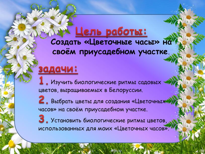 Цель работы: Создать «Цветочные часы» на своём приусадебном участке