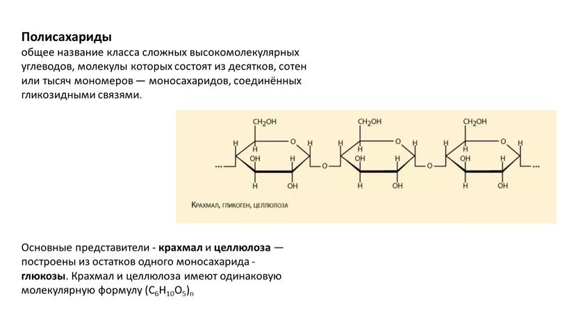 Полисахариды общее название класса сложных высокомолекулярных углеводов, молекулы которых состоят из десятков, сотен или тысяч мономеров — моносахаридов, соединённых гликозидными связями