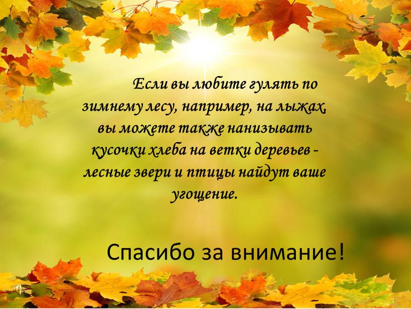 Спасибо за внимание! Если вы любите гулять по зимнему лесу, например, на лыжах, вы можете также нанизывать кусочки хлеба на ветки деревьев - лесные звери…